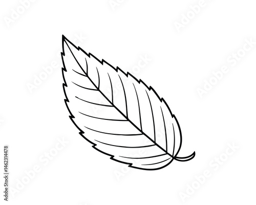 Detailed leaf outline botanical illustration for design needs
