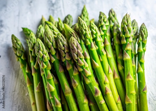 Panoramic Fresh Asparagus on White Background - High-Resolution Stock Photo