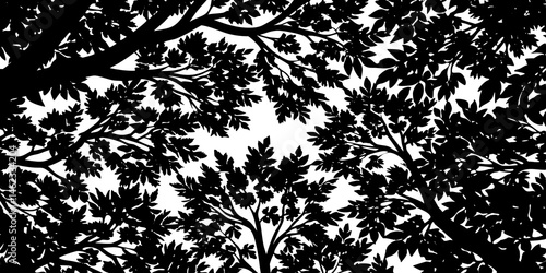 Black and White Silhouette of Lush Tree Canopy