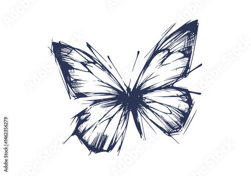 Butterfly Collection Hand Drawn Illustration Vector Isolated Composed by AZ for Books, Arts, Design and Decoration Graphic Asset