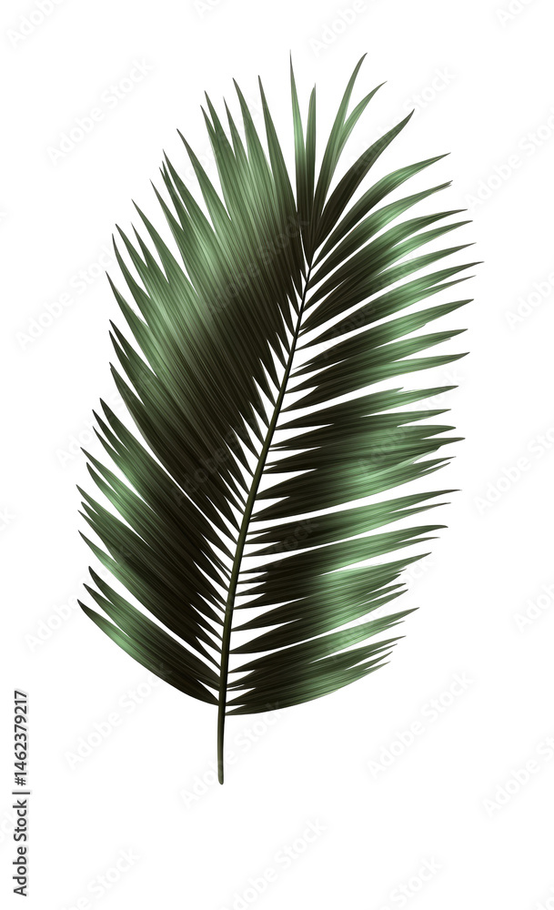 Fototapeta premium Digitally rendered palm frond
