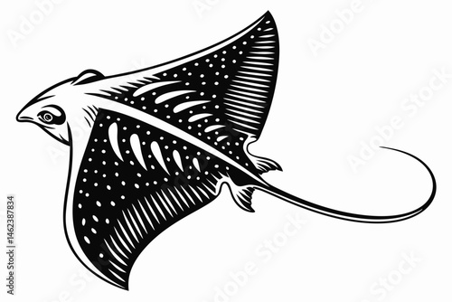 flatfish sihouette black vector