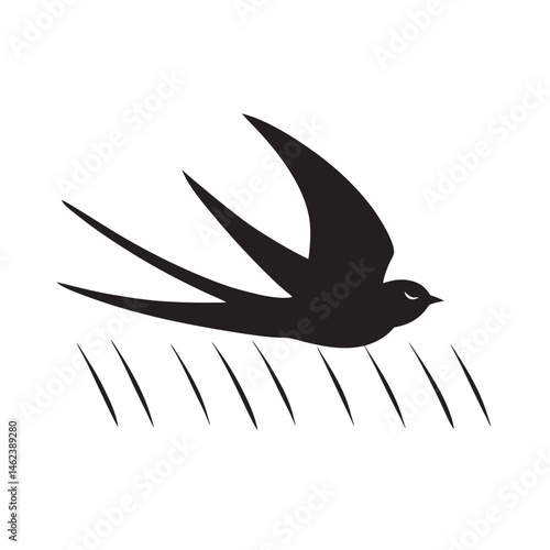 Swallow Flying Low Over Field With Forked Tail