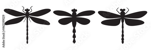 Set of dragonfly vector silhouette, dragonfly vector illustration