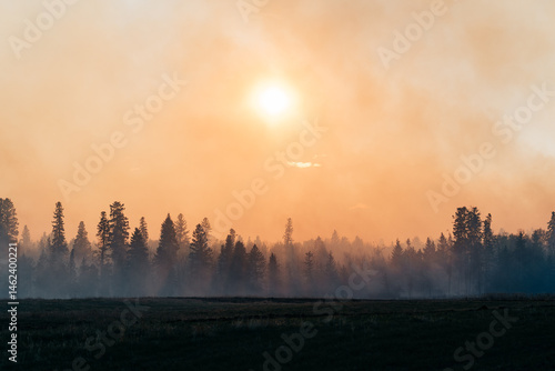 Fighting Fire