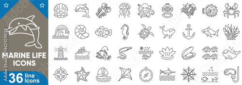 Marine life vector icons set. Dolphin, whale, shark, octopus, jellyfish, corals, eel, aquatic, wildlife, anglerfish, shells and more. Thin line icons illustration