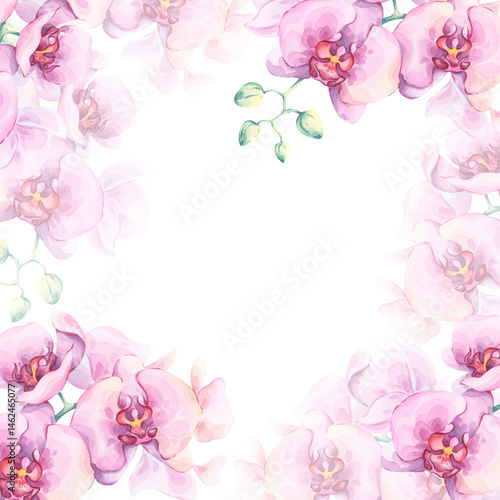 Pink orchid watercolor frame. Hand-drawn botanical illustration. Bright lush exotic flowers on white background. Great for invitations, stationary covers, and floral greeting cards