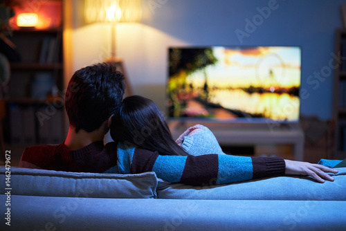 Obraz na plátně Rear view of lovely couple enjoying for watching movie on sofa in the room
