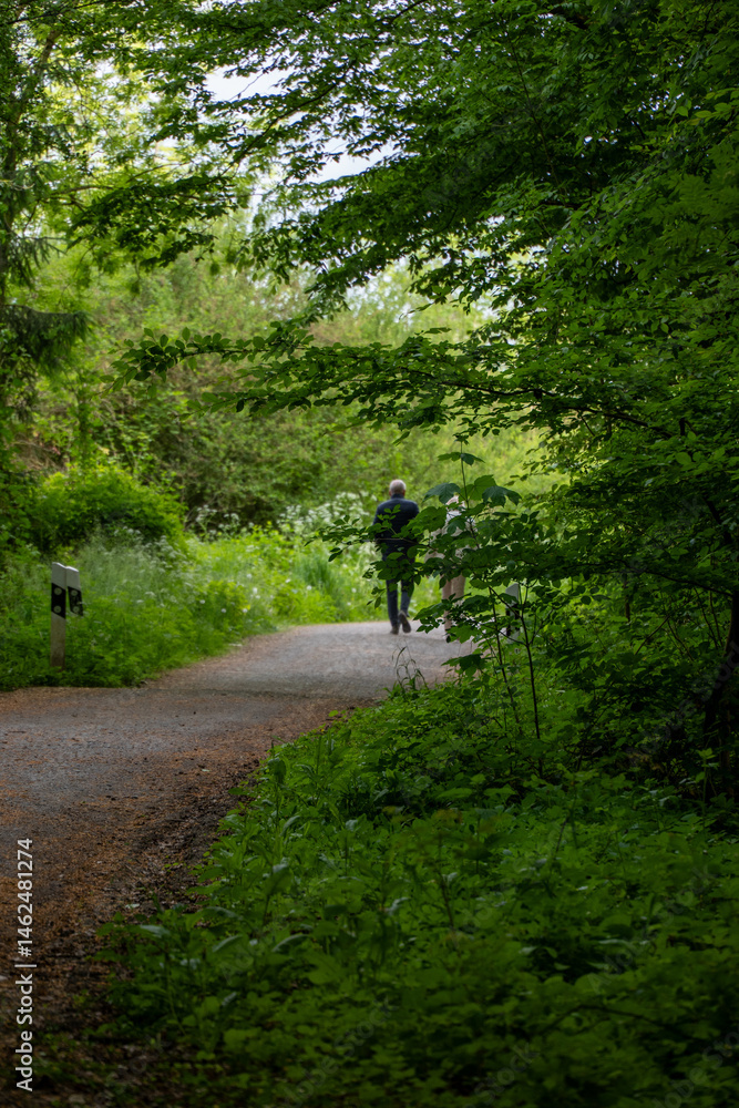 Obraz premium cyclist in the forest