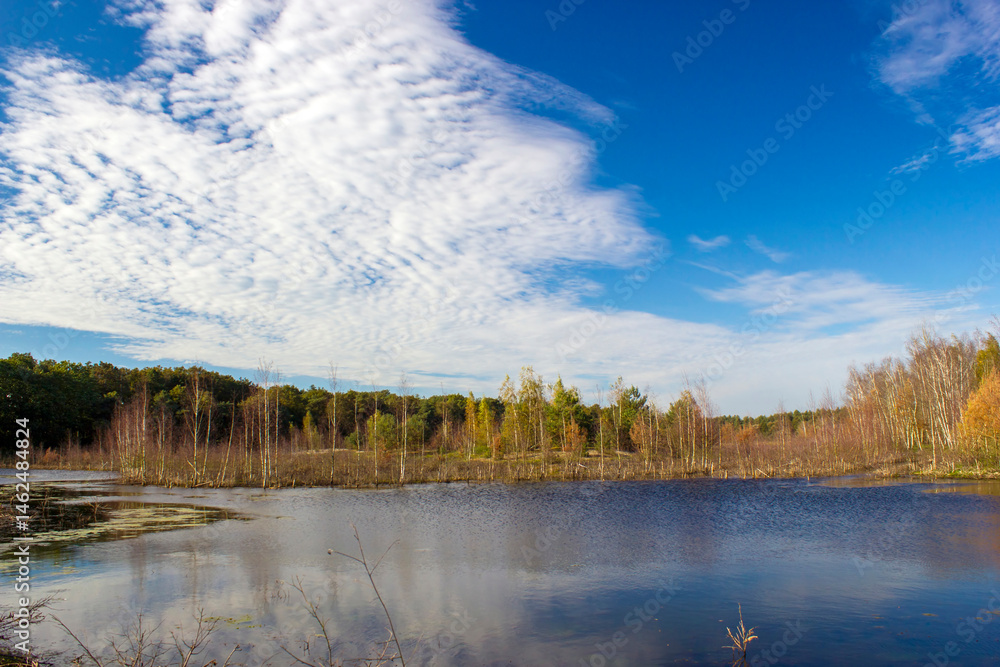 Landscape in the National Park Maasduinen in the Netherlands