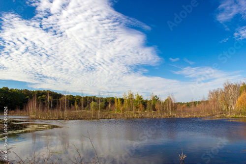 Obraz na płótnie Landscape in the National Park Maasduinen in the Netherlands w salonie