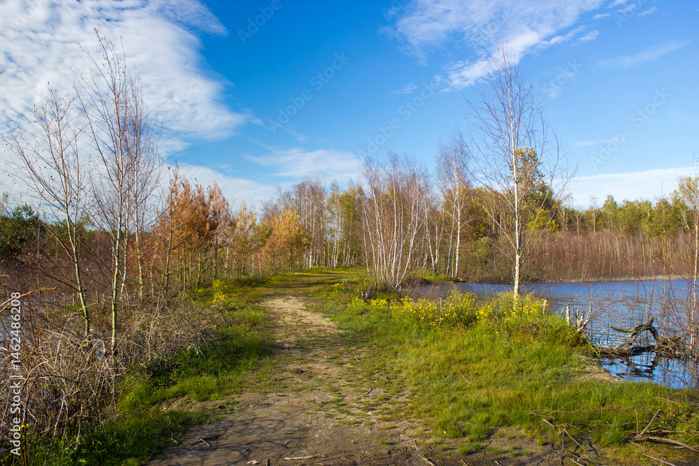Landscape in the National Park Maasduinen in the Netherlands