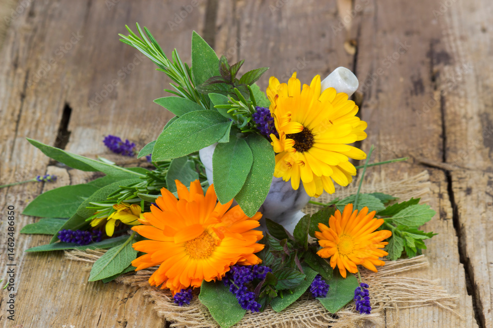 fresh herbs in the stone mortar on wooden background