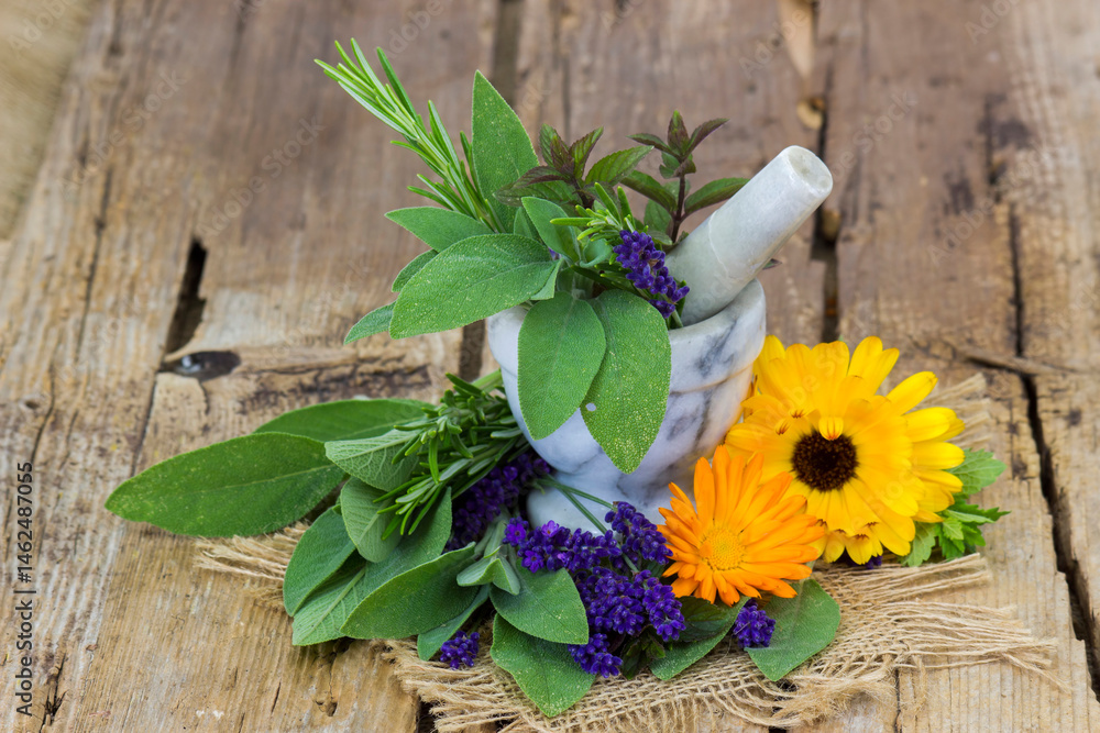 fresh herbs in the stone mortar on wooden background