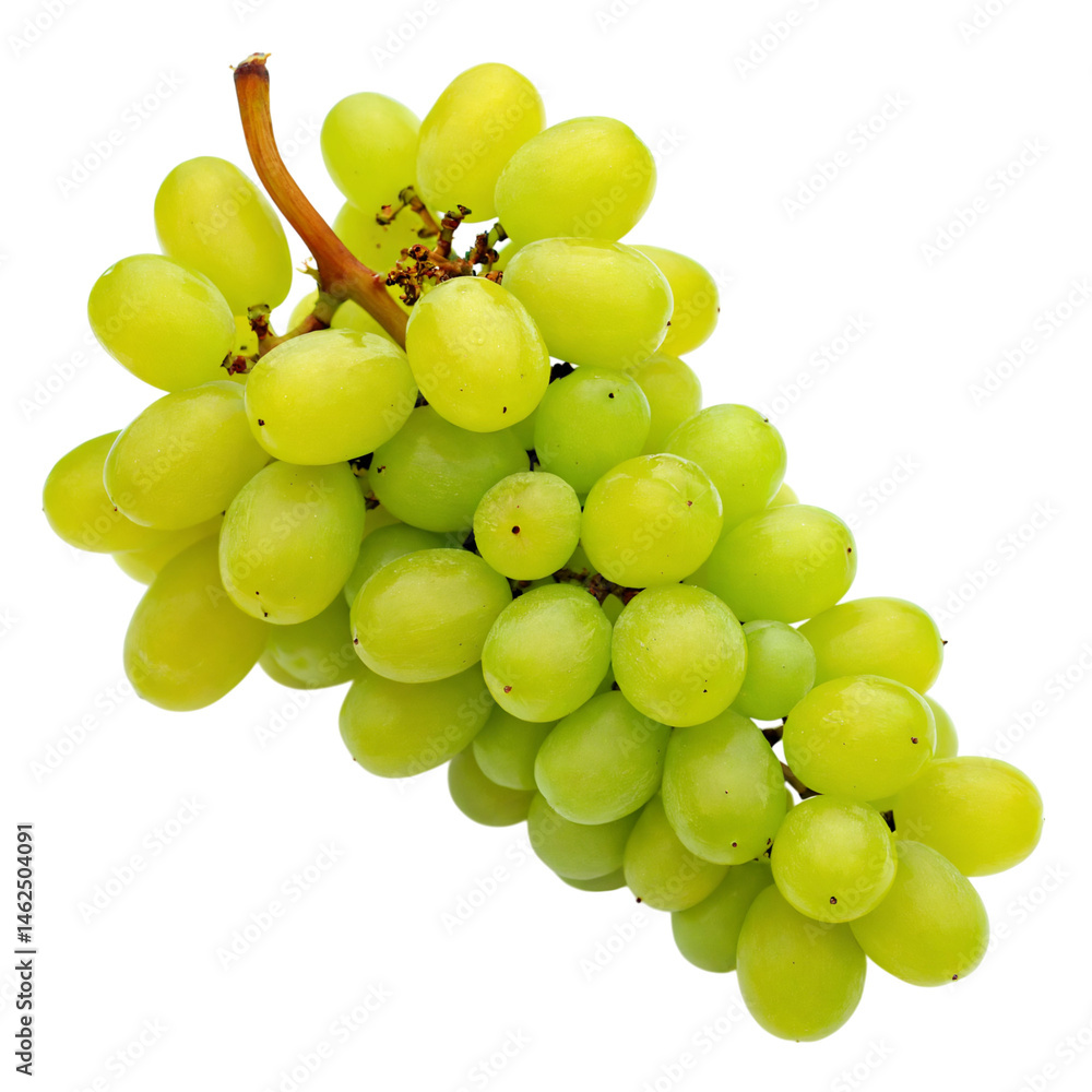 Fresh green grapes on a vine with rich texture and vibrant color in natural lighting showcasing their ripeness and healthiness