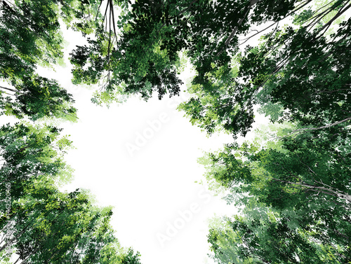 illustration of trees viewed from below, typespace border asset, vibrant green leaves transparent background