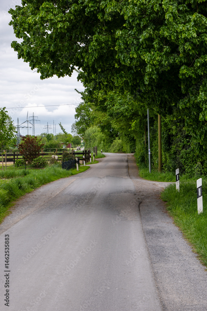 Obraz premium road in the park