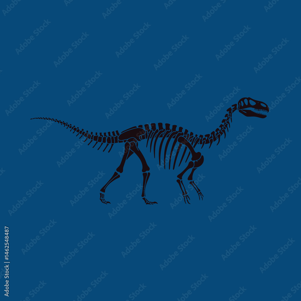 Dinosaur skeleton illustration with dark blue background natural history and prehistoric fossil outline vector design Dinosaur skeleton illustration with dark blue background natural history and prehistoric fossil outline vector design