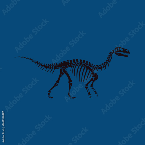 Dinosaur skeleton illustration with dark blue background natural history and prehistoric fossil outline vector design 