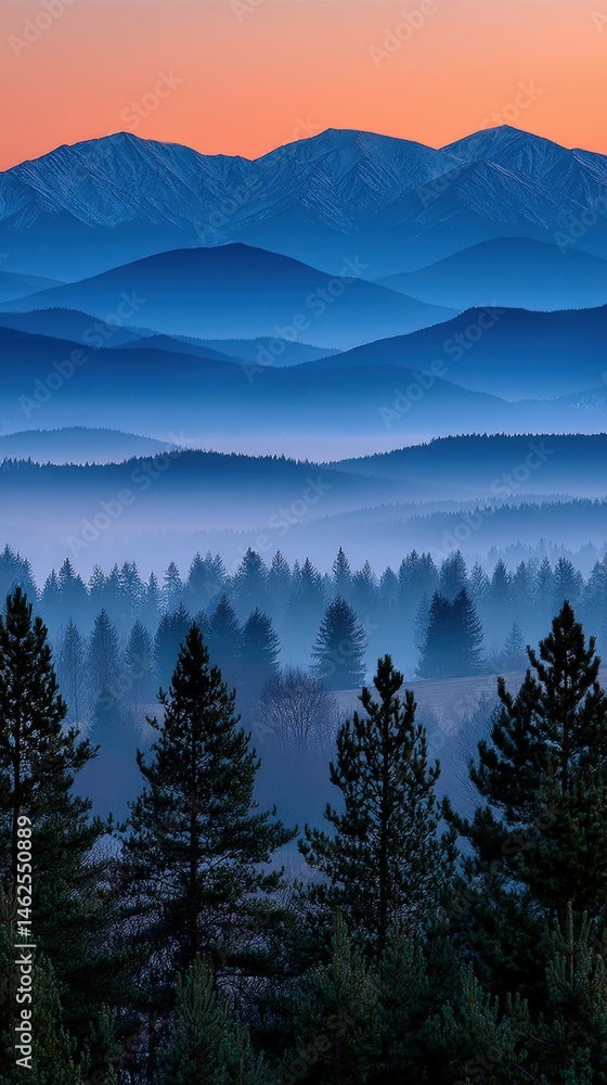 Obraz premium Mountains and forest landscape during twilight hour
