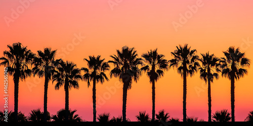 Sunset Silhouette of Palm Trees Wallpaper Background