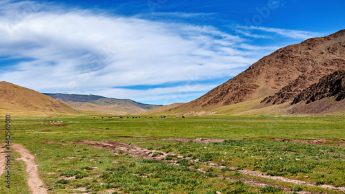 The endless landscape of Mongolia	