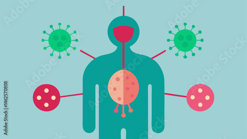 Immune System Insight An illustration portraying lymph nodes and key immune with areas of active immune response shown in red and healthy tissue in green reflecting longevity.