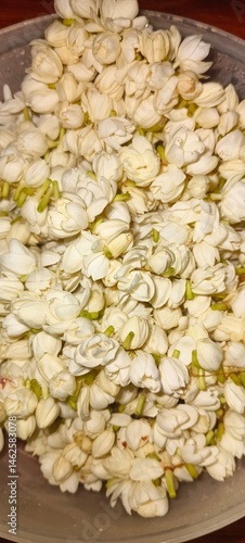 shows two delicate Jasmine flowers (likely Jasminum sambac, also known as Arabian jasmine) blooming on a green leafy stem