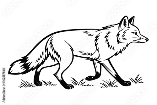 Wild Fox Walking Line Art vector, Outline fox sketch in Forest Animal Vector, fox Hand-Drawn Outline Illustration.