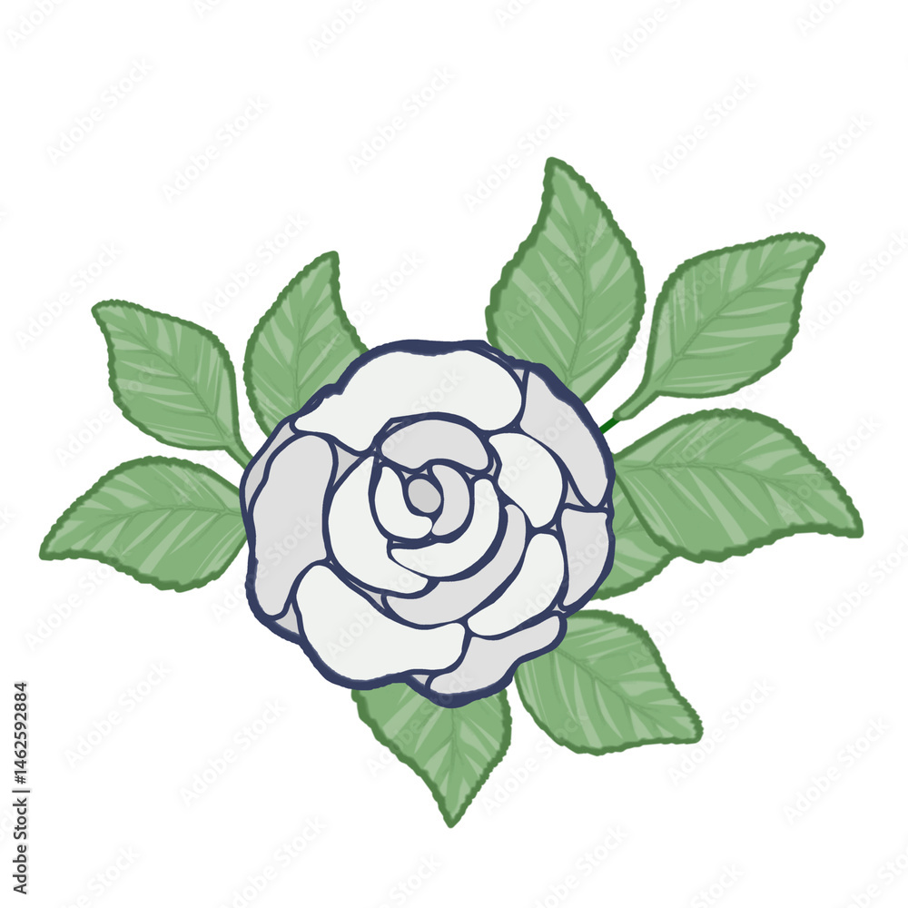 Obraz premium 薔薇