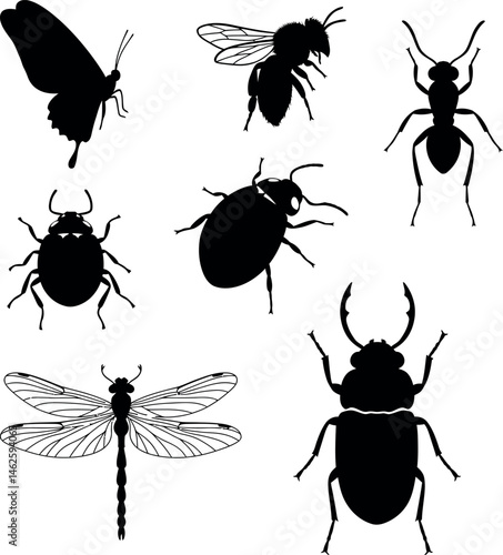 Various black silhouette insects including butterfly bee ant dragonfly and beetles vector illustration 