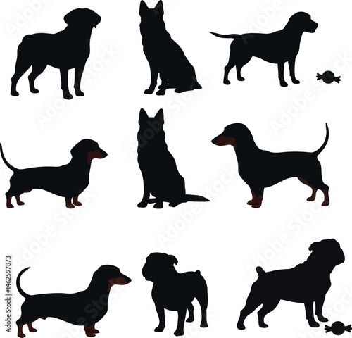 Dog silhouettes collection with different breeds and playful candy elements vector illustration 