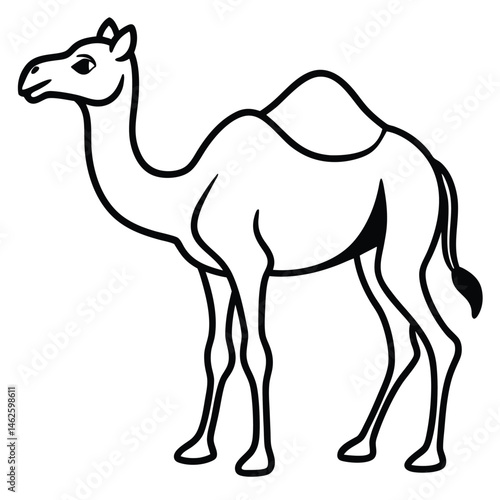 camel vector illustration