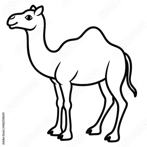 camel vector illustration