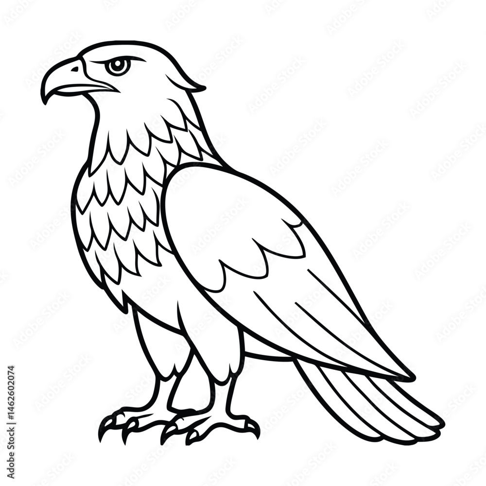 Fototapeta premium a eagle bird stands alone create a picture line art vector silhouette