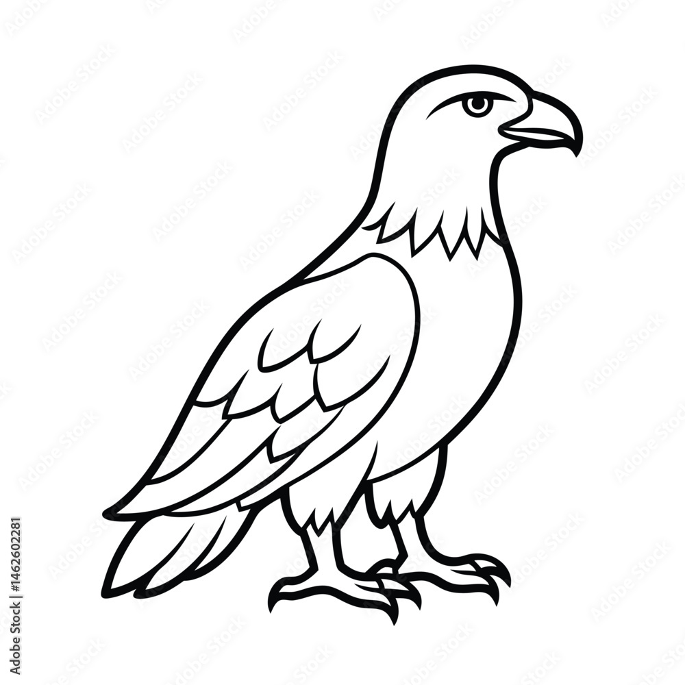 Fototapeta premium a eagle bird stands alone create a picture line art vector silhouette
