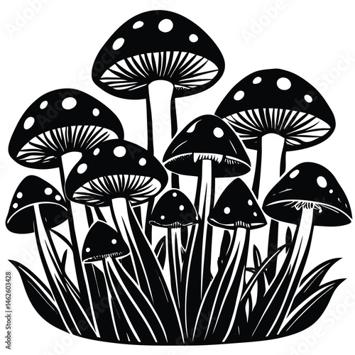 mushrooms on grass