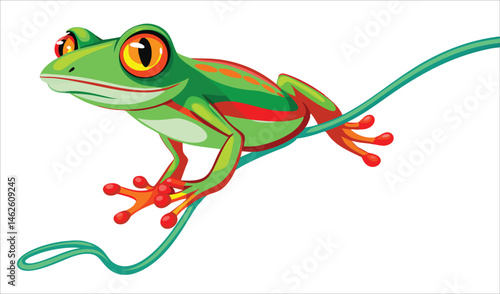 Red Eyed Tree Frog Climbing Thin Invisible Vine