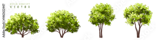 Vector watercolor of blooming tree top view isolated on white background for landscape plan and architecture drawing, elements for environment and garden,botanical elements ,blooming flower in spring