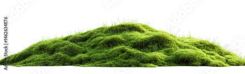 Lush green mound of moss or grass on a white background