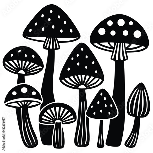vector illustration of mushrooms