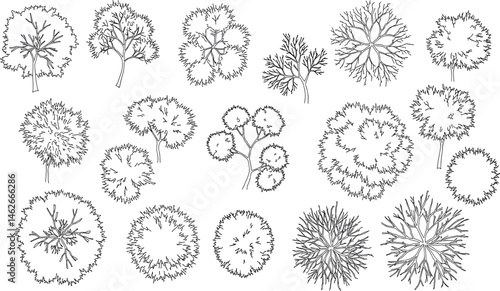 Vector set of Top view green tree for outdoor plan or map and architecture drawing, elements for environment and garden ,botanical elements ,Blooming flowers in spring