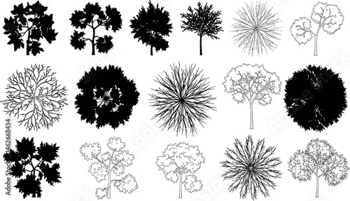 Vector set of Top view green tree for outdoor plan or map and architecture drawing, elements for environment and garden ,botanical elements ,Blooming flowers in spring