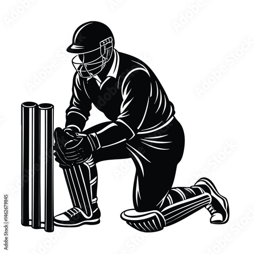 wicket keeper vector art Icons vector art silhouette