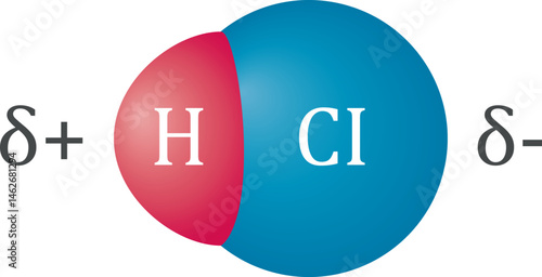 Vector illustration of bond polarity in hydrochloric acid (HCl) molecule.