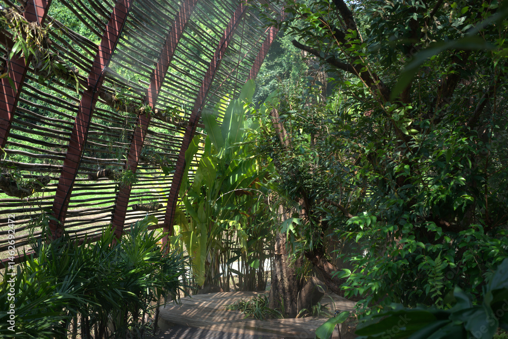 Naklejka premium bamboo garden.