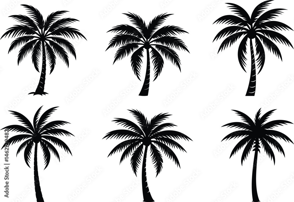 Naklejka premium Palm tree silhouette vector set bundle isolated on white background