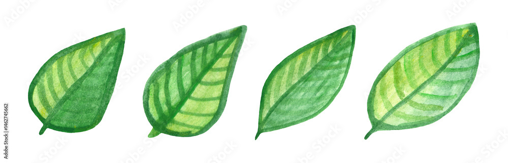 Set of watercolor green leaves. Watercolor design element.