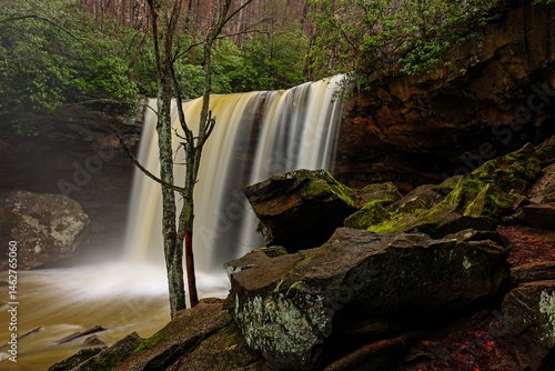 waterfall in the woods