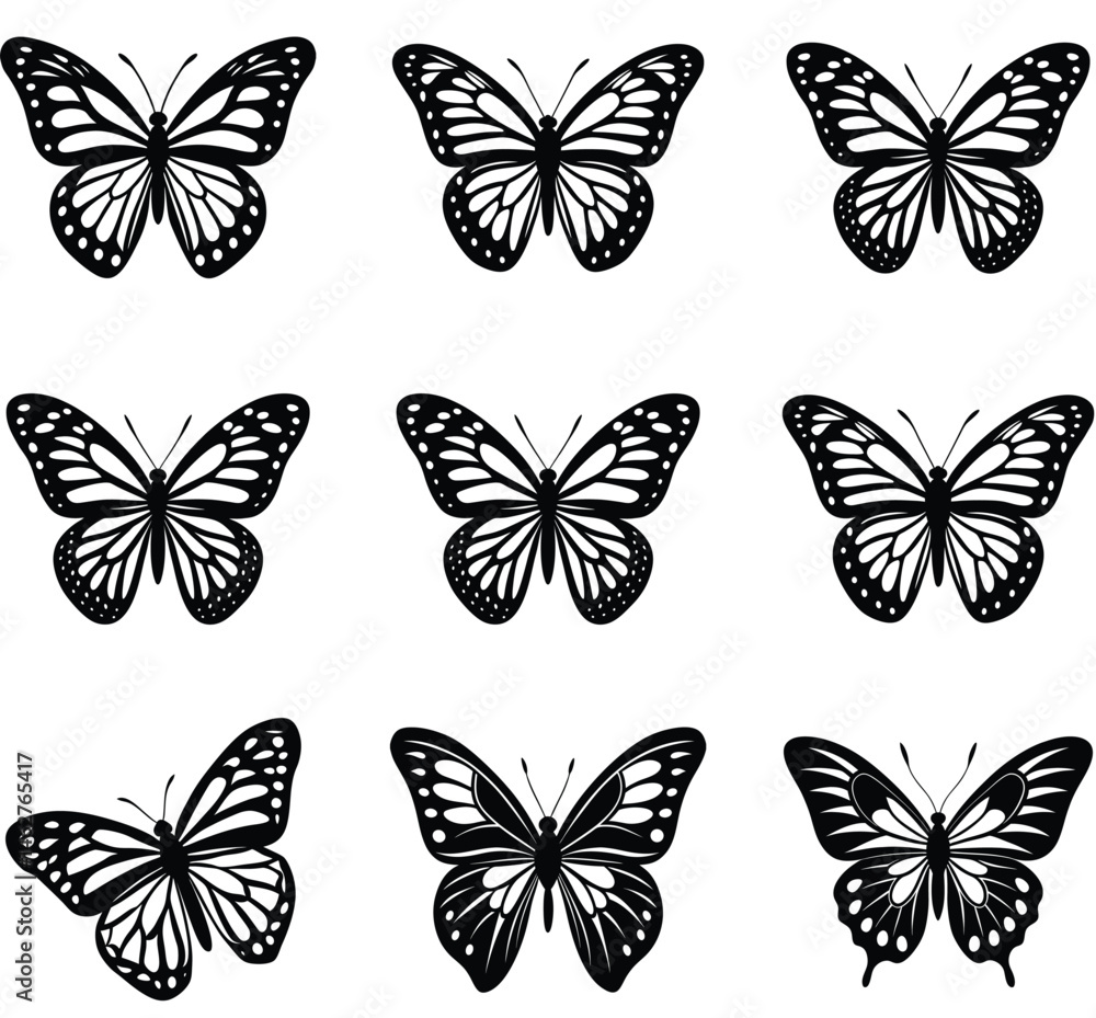 Elegant black and white vector illustrations of diverse butterfly wing patterns on a white background Elegant black and white vector illustrations of diverse butterfly wing patterns on a white background